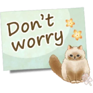 🐱 Don't worry gato, lindo, animales, sticker, no te preocupes, texto, mensaje, consuelo whatsapp sticker