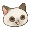 🐱