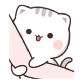 😬 cat, kitten, cute, animal, sticker telegram sticker