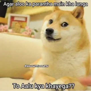 🌟 Doge Agar aloo ka parantha main kha lunga To Aalu kya khayega?? doge, meme, funny, dog, potato, parantha, humor telegram sticker
