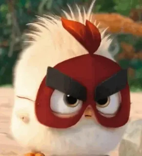 〰 oiseau, dessin animé, Angry Birds telegram sticker