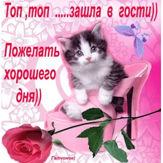 👣 Топ,топ ....зашла в гости))
Пожелать
хорошего
дня))
Галчонок) cat, kitten, flowers, greeting, pink, cute, butterfly telegram sticker