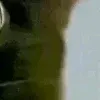 😆