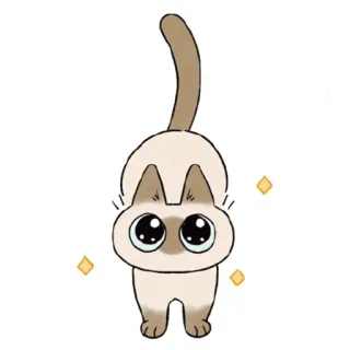 🤩 cat, animal, cute, cartoon, pet, kitten telegram sticker