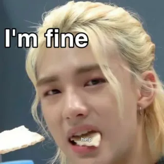 😅 I'm fine Meme, Mir geht's gut, Hilfe, Emotion, Ausdruck, Notlage whatsapp sticker