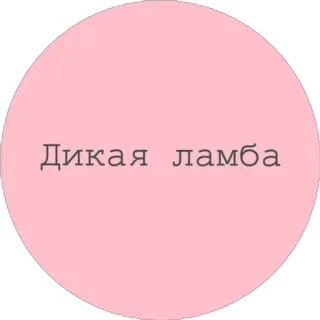 🚘 Дикая ламба ロシア語テキスト, ステッカー, ピンク telegram sticker