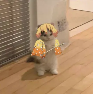 🦊 Zenitsu Agatsuma Demon Slayer cat, animal, demon slayer, anime, manga, zenitsu, agatsuma, cute telegram sticker