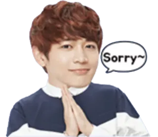 🙏 Sorry~ desculpa, desculpe, pessoa, arrependimento telegram sticker