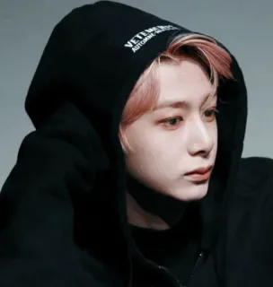 🌩 VETEMENTS personne, sweat à capuche, Vetements, kpop, coréen, portrait, visage whatsapp sticker