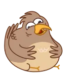 Sharp-eyed Falcon whatsapp stickers