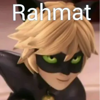 🙂 Cat Noir Miraculous: Tales of Ladybug & Cat Noir Rahmat cat noir, miraculous ladybug, cartoon, anime, rahmat whatsapp sticker