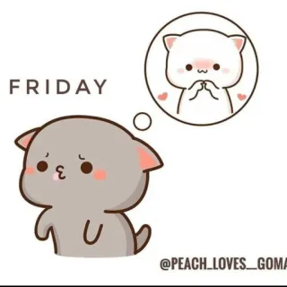 🤔 FRIDAY cat, friday, cute, peach loves goma whatsapp sticker