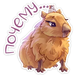 😐 почему... капибара, животное, млекопитающее, грызун, милый, птица telegram sticker