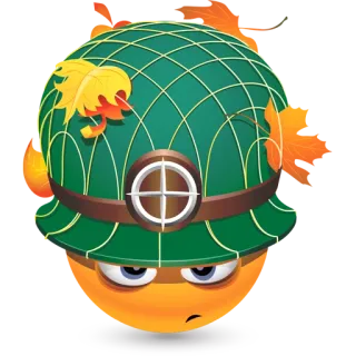 🍁 表情符号, 军事, 头盔, 脾气暴躁, 士兵 telegram sticker