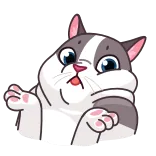 🤷‍♂️ 고양이, 동물, 귀여운, 웃긴, 스티커 telegram sticker