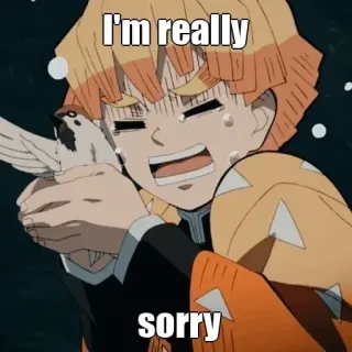🙂 Zenitsu Agatsuma Demon Slayer I'm really sorry Anime, Manga, Demon Slayer, Maaf, Zenitsu, Sedih, Menangis telegram sticker