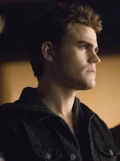 😐 Stefan Salvatore The Vampire Diaries Stefan Salvatore, wampir, Pamiętniki Wampirów, serial TV, aktor telegram sticker