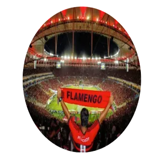 flamengo telegram stickers
