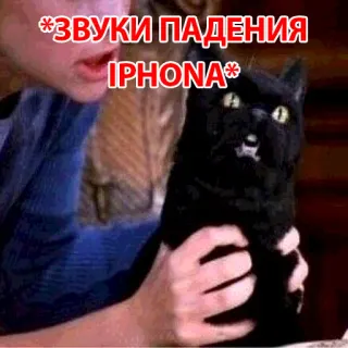 🤬 *ЗВУКИ ПАДЕНИЯ IPHONA* 猫, iPhone, ミーム, サウンド, 落下, 面白い telegram sticker