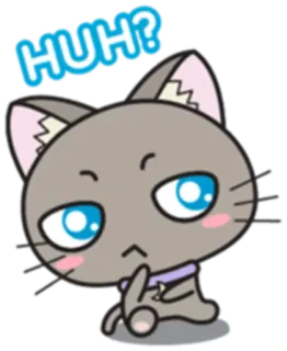 🤔 HUH? cat, cartoon, sticker, question, cute, confused whatsapp sticker