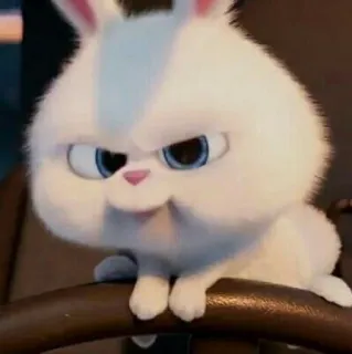 🕊 Snowball The Secret Life of Pets thỏ, thỏ con, tức giận, nhân vật phản diện, hoạt hình telegram sticker