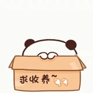 🎈 求收养～ Panda, Niedlich, Tier, Box, Adoptieren, Fisch, Cartoon telegram sticker