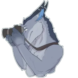 📷 furry, câmera, fotógrafo, animal, desenho animado, lobo telegram sticker