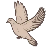 🕊️