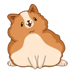 😀 hond, corgi, schattig, cartoon, dier telegram sticker