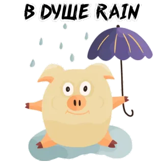 🌧 В ДУШЕ RAIN 돼지, 우산, 비, 만화 whatsapp sticker