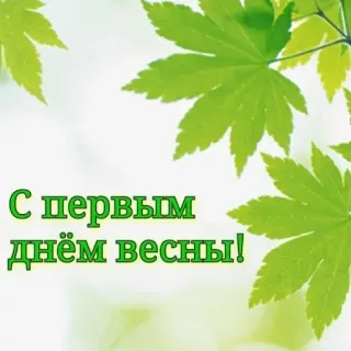 🔆 С первым днём весны! musim semi, daun, salam, alam telegram sticker