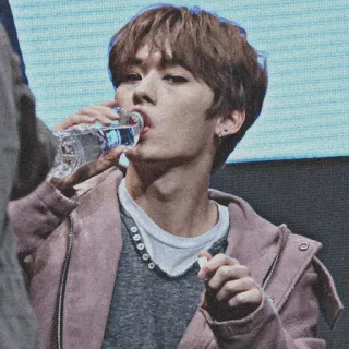 🥀 pria, minum, air, orang, botol telegram sticker