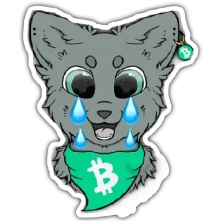 🐱 Cryptocurrency, Bitcoin, Furry, Menangis, Bandana, Serigala, Binatang whatsapp sticker