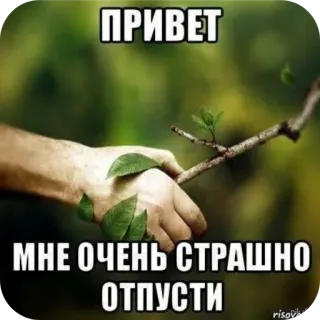 🖼 ПРИВЕТ МНЕ ОЧЕНЬ СТРАШНО ОТПУСТИ telegram sticker