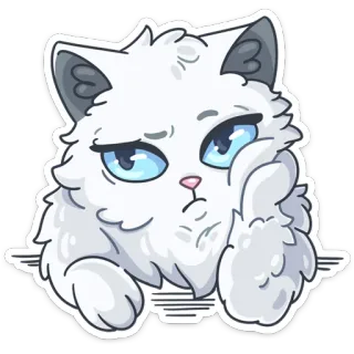 ☹️ cat, kitten, cute, animal, fluffy, white, bored telegram sticker