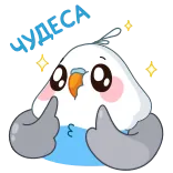 Blue Bird | @Premium_Emojis_Telegram × @TgSticker telegram emojis 🤩