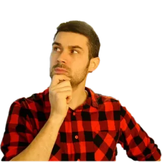 🤔 uomo, pensando, ponderando, persona, flanella, contemplando, curioso telegram sticker