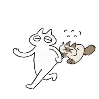 😖 chat, animaux, dessin animé, autocollant, ludique, mignon whatsapp sticker