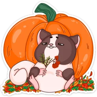 🤤 햄스터, 호박, 가을, 가을, 나뭇잎, 귀여운, 설치류, 동물 telegram sticker