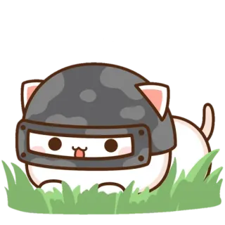 🌵 Katze, Helm, süß, Tier telegram sticker