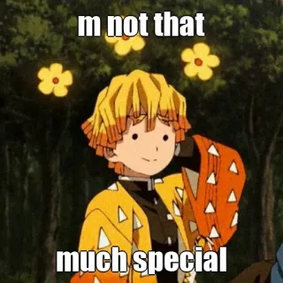 🙂 Zenitsu Agatsuma Demon Slayer m not that much special Anime, Meme, Lucu, Karakter, Zenitsu telegram sticker