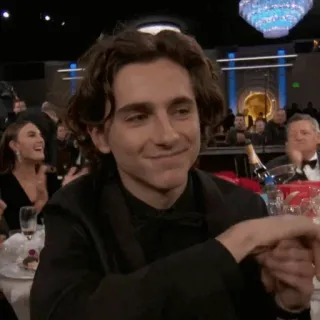 🕊 Timothée Chalamet diễn viên, người nổi tiếng, lễ trao giải, vỗ tay telegram sticker