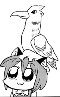 🦢 dibujo animado, anime, gato, pájaro whatsapp sticker