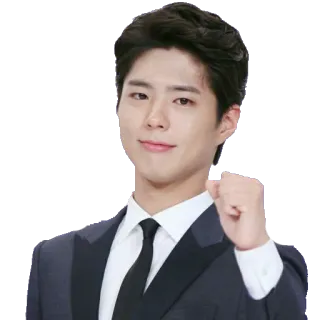 ✊️ Park Bo-gum acteur, coréen, célébrité, homme, beau telegram sticker