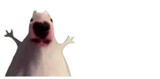 😮 dog, meme, funny, internet telegram sticker