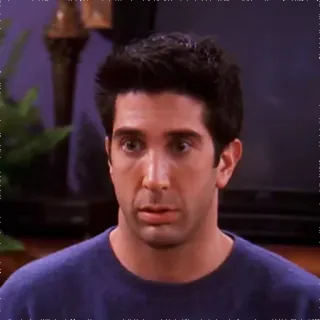😕 Ross Geller Friends série télé, personnage, Ross, David Schwimmer, visage, expression telegram sticker