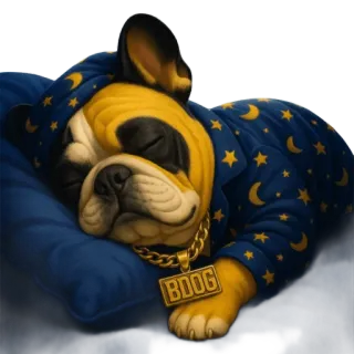 😴 BDOG Hund, Französische Bulldogge, schlafend, Schlafanzug, Mond, Sterne, Goldkette, Haustier, Tier telegram sticker