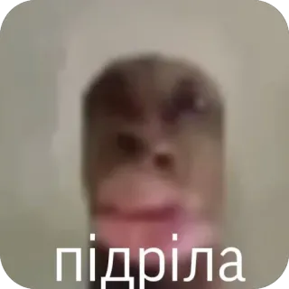 🫥 підріла meme, distorted, face, funny, absurdist, ukrainian, expression telegram sticker