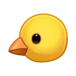 🐤