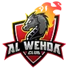 🇸🇦